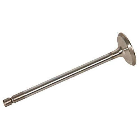 Aic Replacement Parts Valve, Intake; Std. A-4895052-AI